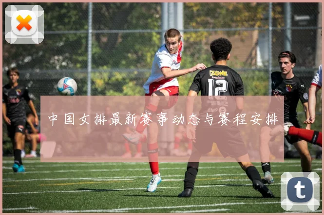中国女排最新赛事动态与赛程安排
